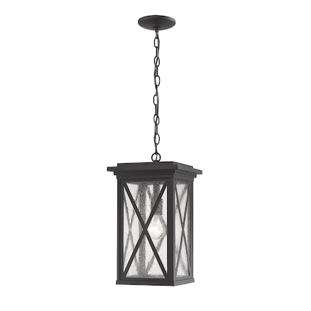 Brookside 1 Light Outdoor Chain Mount Ceiling Fixture, Black And Clear Seedy